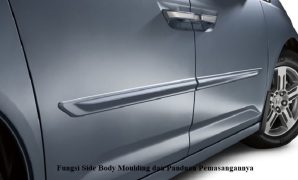 Side Body Moulding