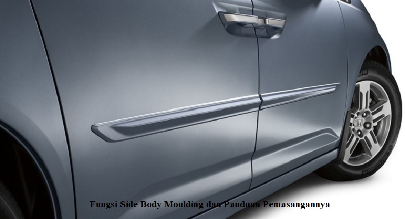 Side Body Moulding